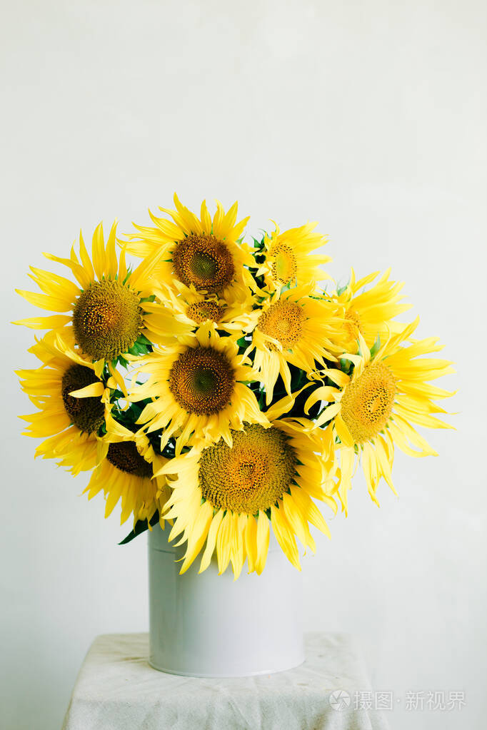 白色背景的复古花瓶中的一束鲜黄色向日葵花
