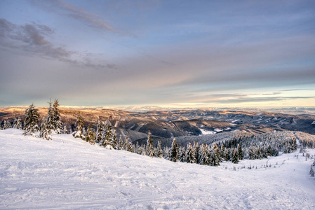 美丽的冬季景观有小山和白雪覆盖的冷杉树。捷克贝斯基迪