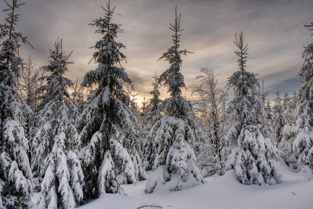 Beautiful winter landscape with snow covered trees , czech besky