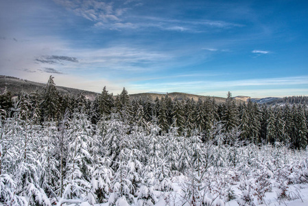 Beautiful winter landscape with snow covered trees , czech besky