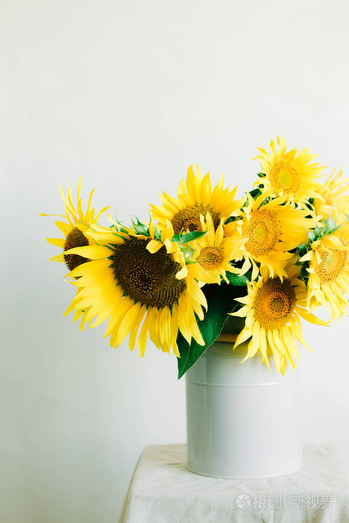 白色背景的复古花瓶中的一束鲜黄色向日葵花