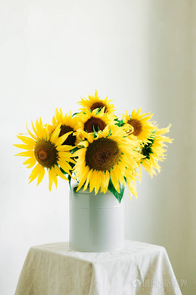 白色背景的复古花瓶中的一束鲜黄色向日葵花