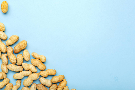 框架由坚果花生壳制成,蓝色背景上有复制空间.