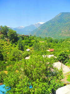 乡村 风景 山谷 小山 美丽的 全景 森林 旅行 自然 旅游业