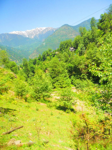 旅游业 草地 山谷 美丽的 天空 森林 旅行 夏天 小山