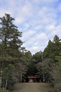 日本鹿儿岛麒麟岛金谷神社照片 正版商用图片285x9f 摄图新视界
