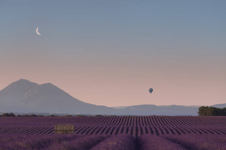 天空 气球 拉文达 紫色 瓦伦索勒 早晨 薰衣草