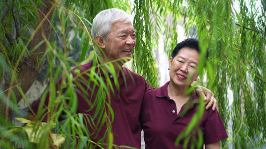 快乐的退休亚洲老年夫妇在绿柳树下欢笑照片
