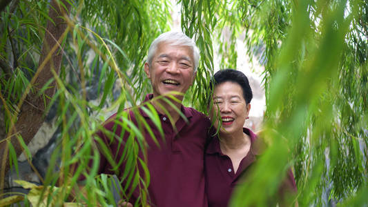 快乐的退休亚洲老年夫妇在绿柳树下欢笑照片