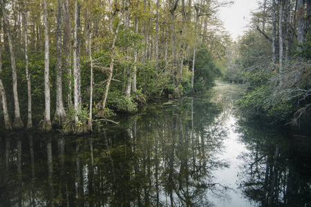 Everglades National Park 