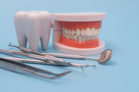 蓝色牙齿模型和牙科工具