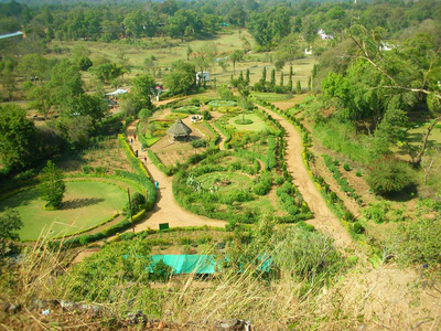 森林 天空 国家 乡村 夏天 环境 自然 土地 植物 全景图