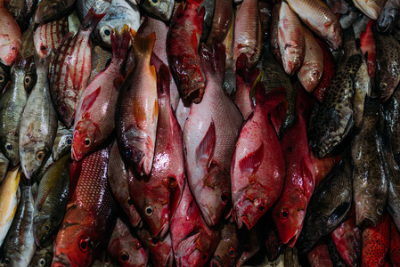 巴厘岛 市场 越南 渔夫 营养 健康 晚餐 行业 烹饪 商店