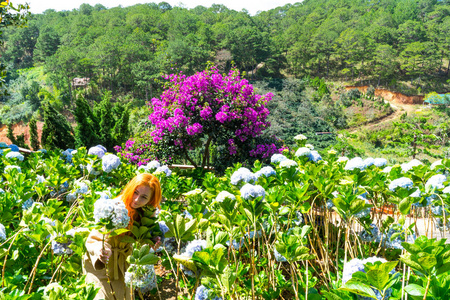 夏天 美丽的 公园 植物 花园 风景 自然