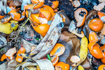 堆肥中的有机废物照片