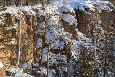 雪地里树木覆盖的悬崖景观