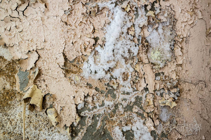 洪水过后墙上的硝石