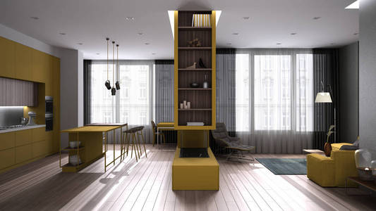 灰色和黄色的豪华简约客厅带岛凳的厨房拼花地板沙发扶手椅壁炉地毯带窗帘的窗户。当代室内设计