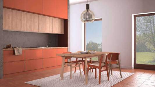 舒适的橙色和木质厨房，配有餐桌和椅子地毯和吊灯全景窗户花园草地树木陶土地板当代室内设计