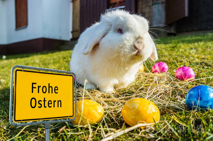 德国复活节快乐兔子标志