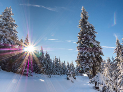 埃尔兹盖比格山脉冬季积雪景观