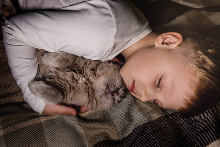 男孩和猫。苏格兰折叠猫在一个男孩的怀里。家庭教育中的宠物概念和爱的家。水平。