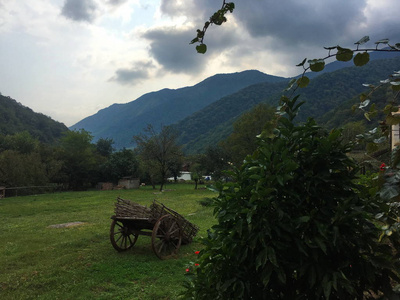 自然 森林 天空 雷雨 美丽的 夏天 旅行 旅游业