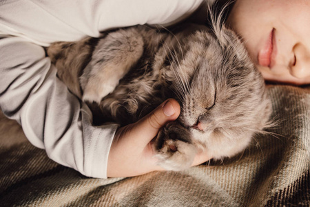 男孩和猫.苏格兰折叠猫在一个男孩的怀里.