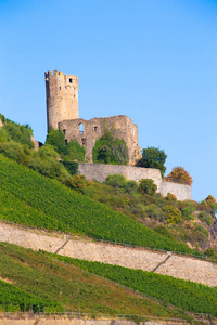 岩石 要塞 葡萄园 葡萄酒 废墟 城堡 山坡 古老的 欧洲
