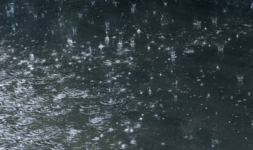 雨滴落在池子里