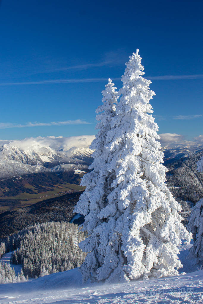 3028*4542px发票合同问题/冬天风景雪阿尔卑斯山森林白雪皑皑天空