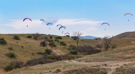 Parachutists on paragliders fly in the sky 