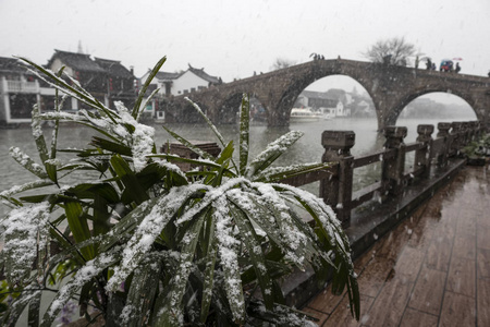 中国古城朱家角的降雪图片