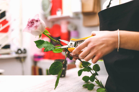花艺剪图片