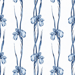 水彩鸢尾花图片