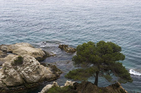 森林 欧洲 海洋 海景 美女 假日 悬崖 海湾 绿松石 全景图