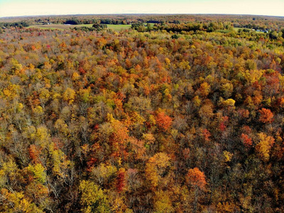 美国纽约沃特敦附近令人惊叹的秋季树叶鸟瞰图