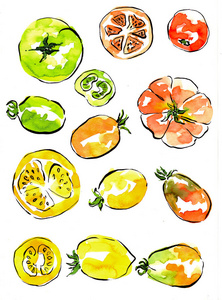 水彩画插图与红色手绘西红柿。切片而不是切片。