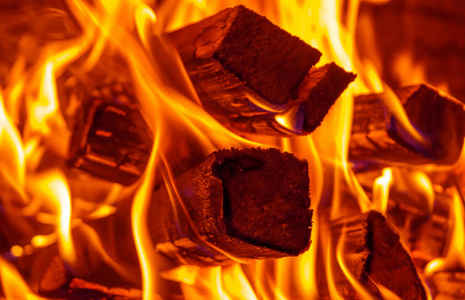 炭火牛蛙图片-炭火牛蛙素材-炭火牛蛙插画-摄图新视界