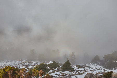 拉斯涅夫斯山脉的平萨波冷杉森林，积雪，岩石和灿烂的阳光