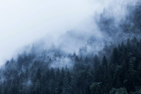 秋天 冬天 森林 早晨 小山 美丽的 风景 天空 薄雾 旅行