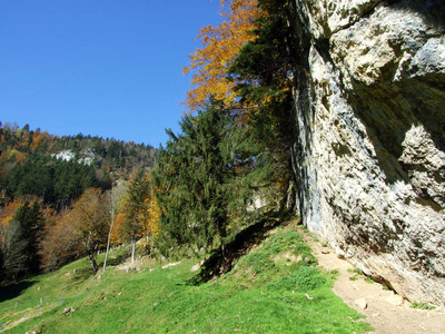 攀登 阿尔卑斯山 目的地 高的 地质学 环境 瑞士人 岩石