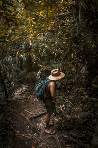 徒步旅行 闲暇 旅游业 帽子 夏天 男人 旅行 植被 郁郁葱葱