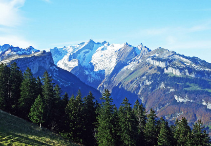 自然 阿尔卑斯山 全景 森林 地形 小山 美女 瑞士人 高的