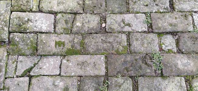 旧的铺路石.灰色的长方形石头像瓷砖一样铺着.潮湿的古道.