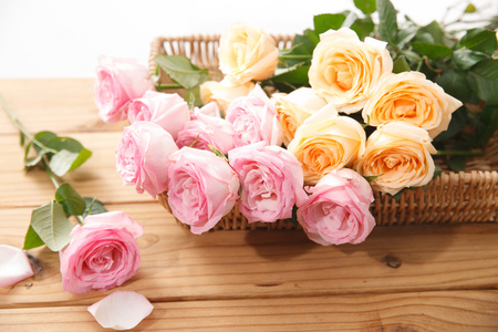 香槟色花图片 香槟色花素材 香槟色花插画 摄图新视界