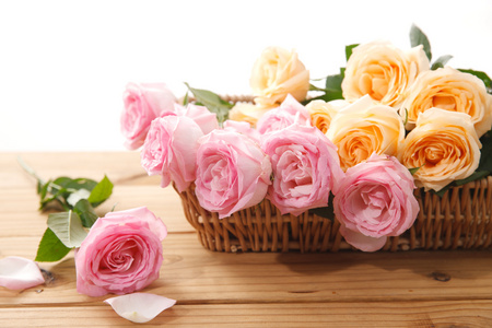 香槟色花图片 香槟色花素材 香槟色花插画 摄图新视界