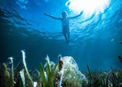 旅行 射线 波浪 潜水 珊瑚 轮廓 冒险 深的 世界 运动
