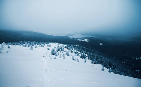 全景图 滑雪 旅行 天空 风景 阿尔卑斯山 自然 寒冷的