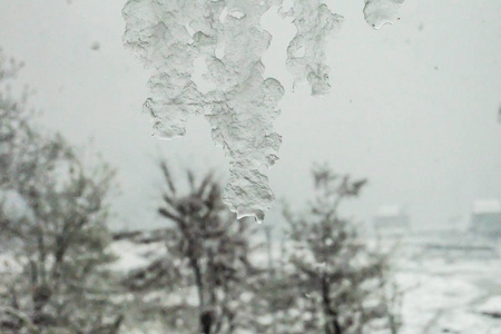 冬天 雪花 寒冷的 雪景